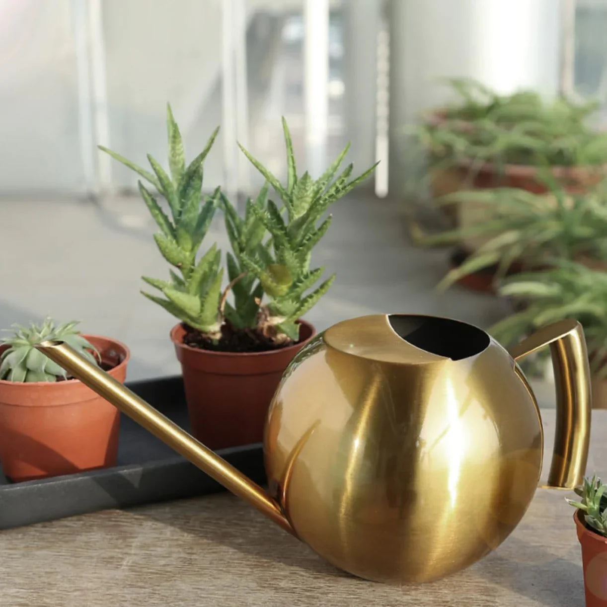 Minimalistische Plantengieter Ø 29 cm Roestvrij Staal voor Interieurplanten 1500 ml | Sansoti
