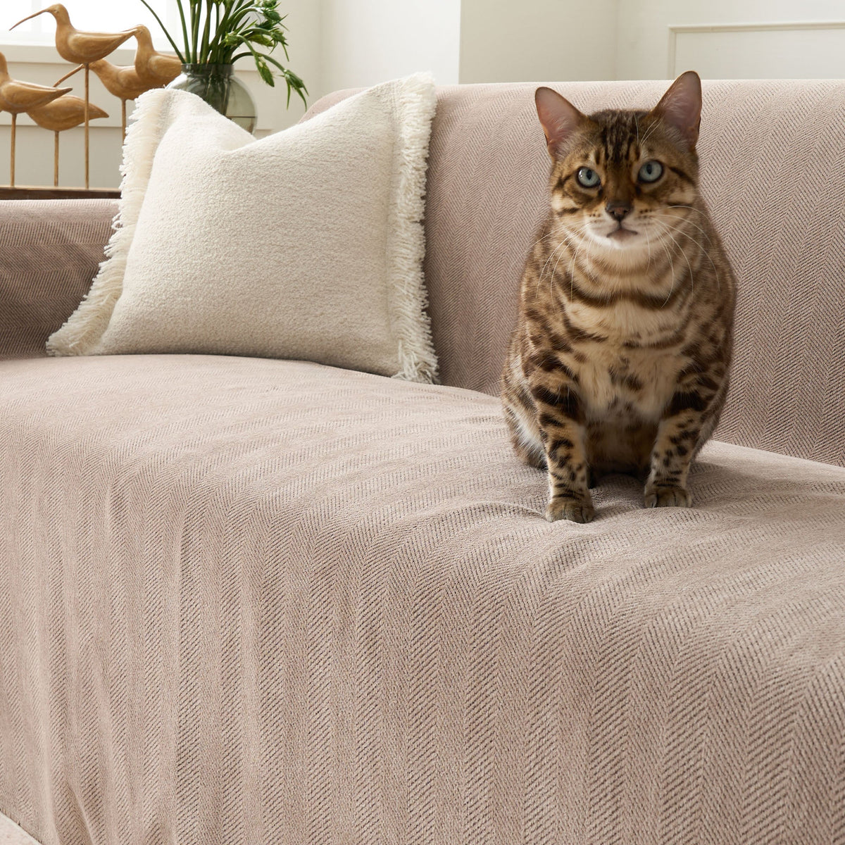 Fischgrätstruktur Sofabezug Haustierfreundlich Wasserabweisender Möbelschutz Textilgewebe Sofa Cover | Sansoti