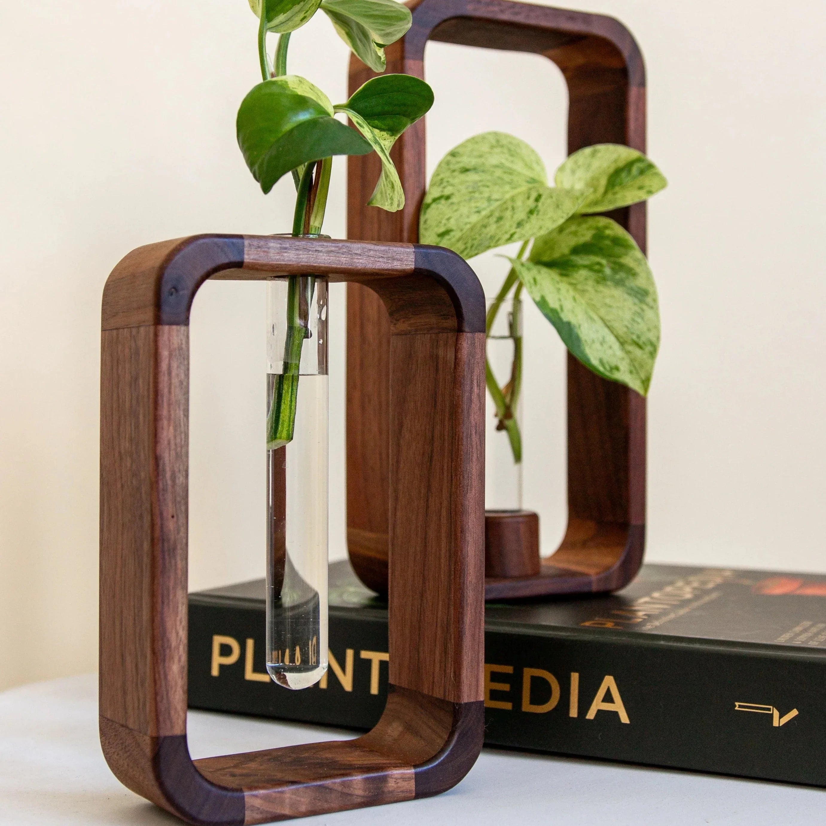 Glazen Vaas voor Stekjes met Houten Standaard – Decoratieve Propagator voor Planten | Sansoti