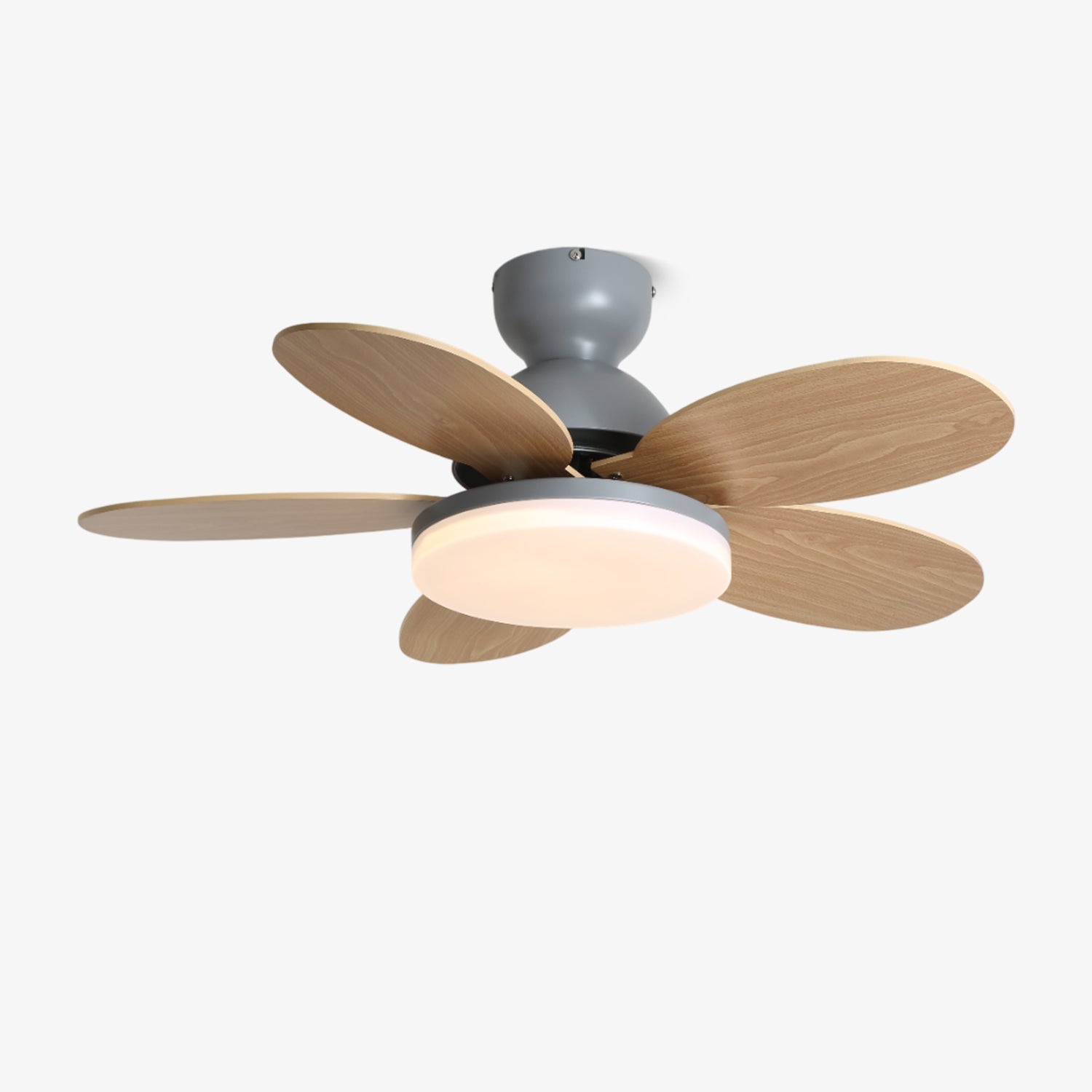 Liora Ceiling Fan with Lighting and Colored Glass Leaves for Children's Room – Modern Ceiling Fan with LED and Remote Control – Adjustable Speed Ceiling Fan with Light in Multiple Color Variants | Sansoti