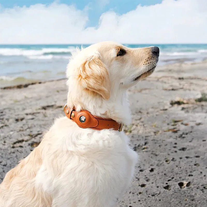 Hundehalsband mit Trackerhalter Verstellbar Wasserbeständig Mikrofaser Sicher Komfortabel Langlebig für Hunde | Sansoti