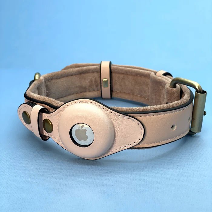 Hundehalsband mit Trackerhalter Verstellbar Wasserbeständig Mikrofaser Sicher Komfortabel Langlebig für Hunde | Sansoti