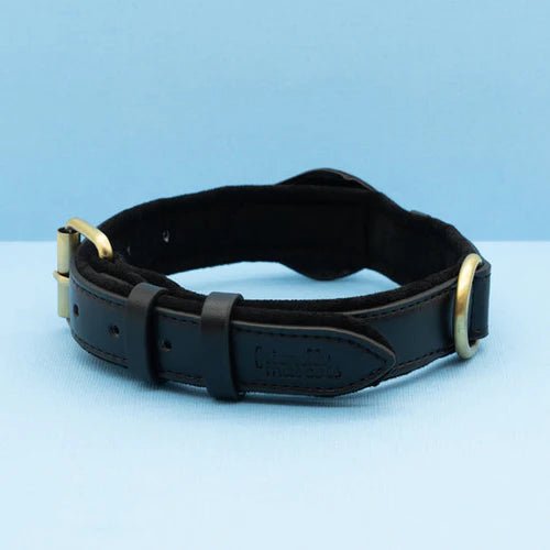 Hundehalsband mit Trackerhalter Verstellbar Wasserbeständig Mikrofaser Sicher Komfortabel Langlebig für Hunde | Sansoti