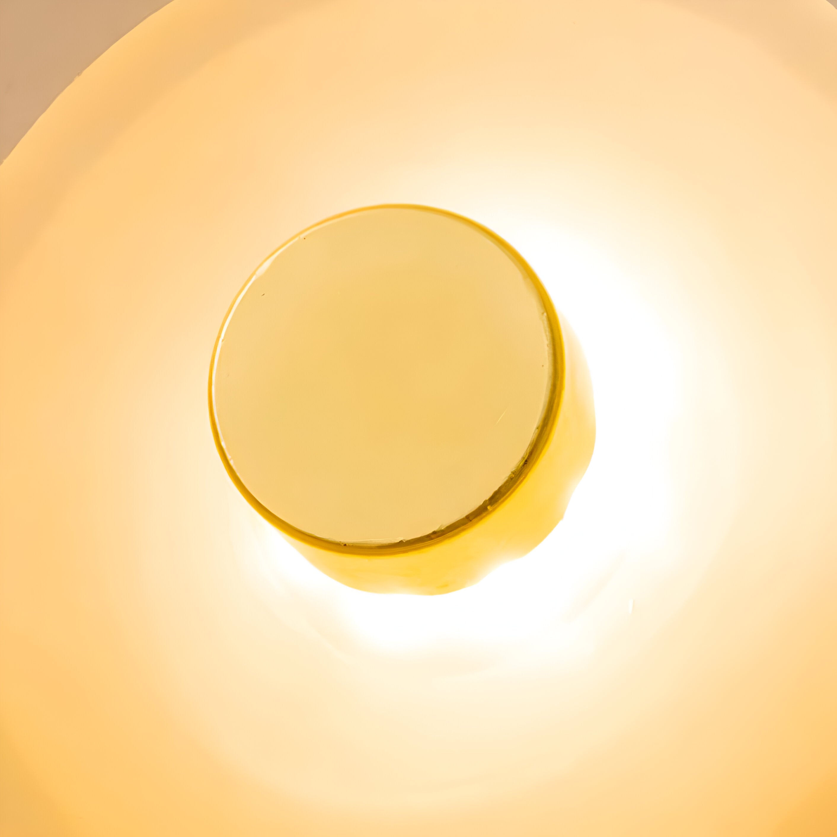 Wandlamp Gebogen Glas LED Sculpturaal Nordisch Goud Zwart 25cm Woonkamer Slaapkamer | Sansoti