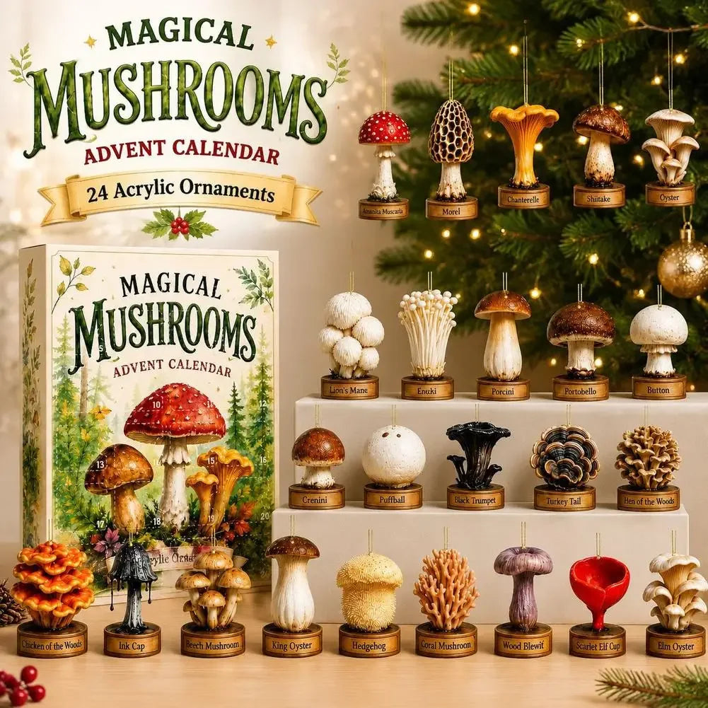 Mushroom Advent Calendar 24 Days Acrylic Ornaments Christmas Decoration Countdown Box Festive Gift Child-Friendly | Sansoti