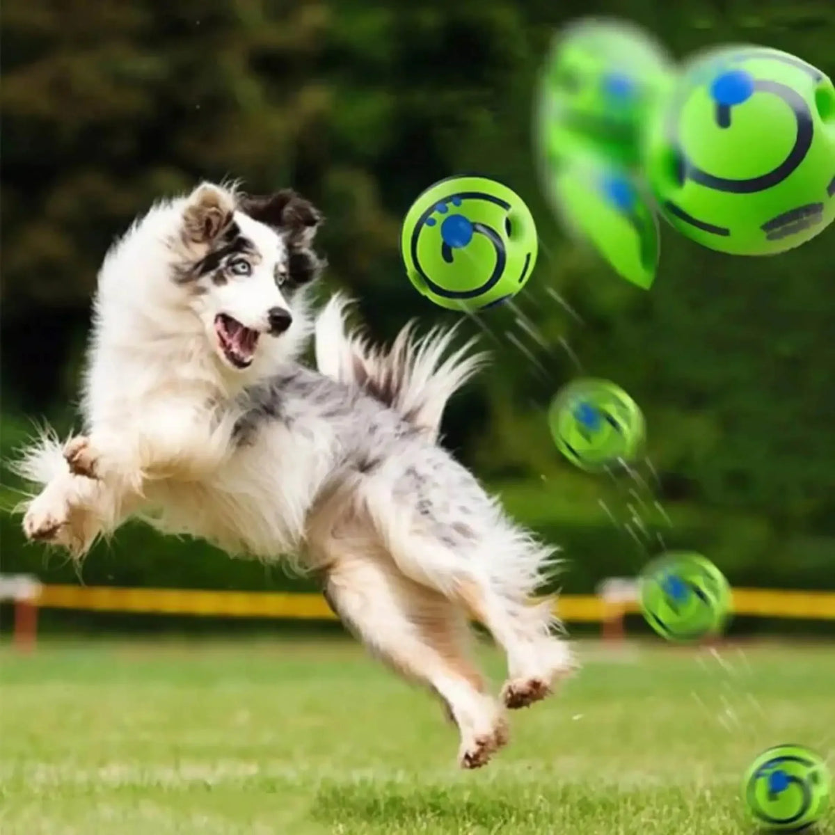 Balle interactive pour chien avec son pour l’entraînement de l’intelligence, l’exercice et la stimulation mentale - Jouet pour animaux | Sansoti