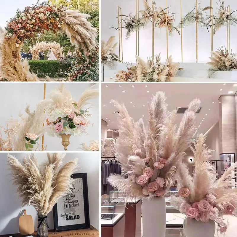 Gedroogde Pampas Pluimen 10 Stuks Natuurlijk Gras Decoratieve Droogbloemen voor Woonkamer Slaapkamer | Sansoti