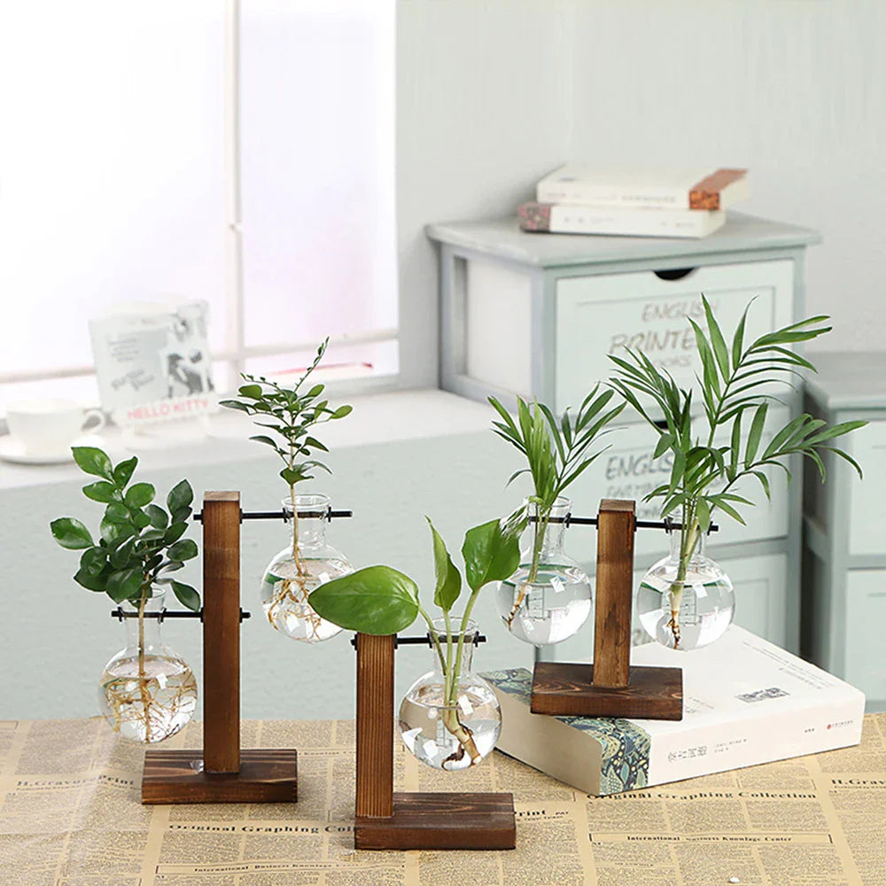 Glazen Vaas op Houten Standaard Decoratief Retro Hydroponics Plantenpot Transparant Glas Sfeeraccent voor Bloemen en Stekjes | Sansoti