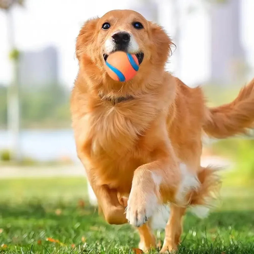 Balle rebondissante pour chiens Jouet en caoutchouc Entraînement au jeu actif Petit Grand Chiot Résistante à la mastication Durable | Sansoti