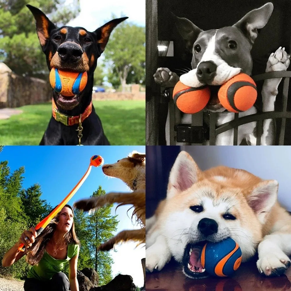 Balle rebondissante pour chiens Jouet en caoutchouc Entraînement au jeu actif Petit Grand Chiot Résistante à la mastication Durable | Sansoti