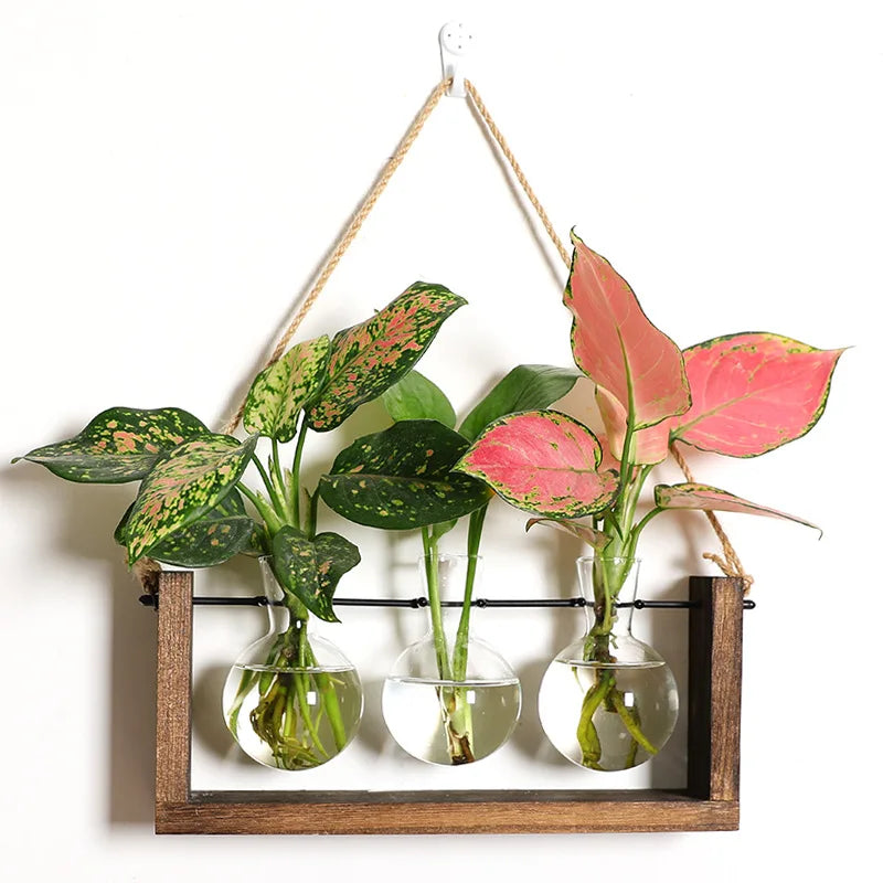 Plantenpropagator Standaard Hout & Glas Stekhouder Vintage Stijl voor Kamerplanten | Sansoti