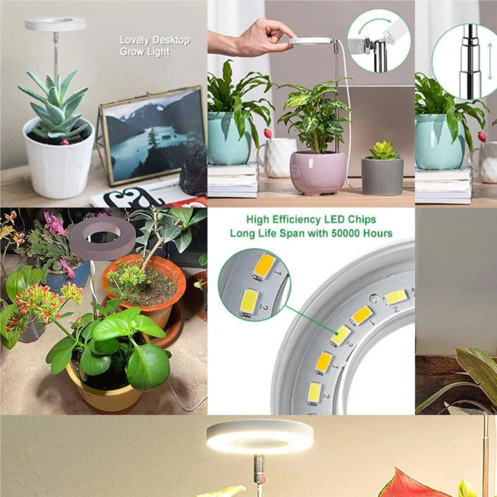 Adjustable Full-Spectrum LED Grow Light with Gooseneck for Indoor Houseplants 20-65cm Plant Light | Sansoti