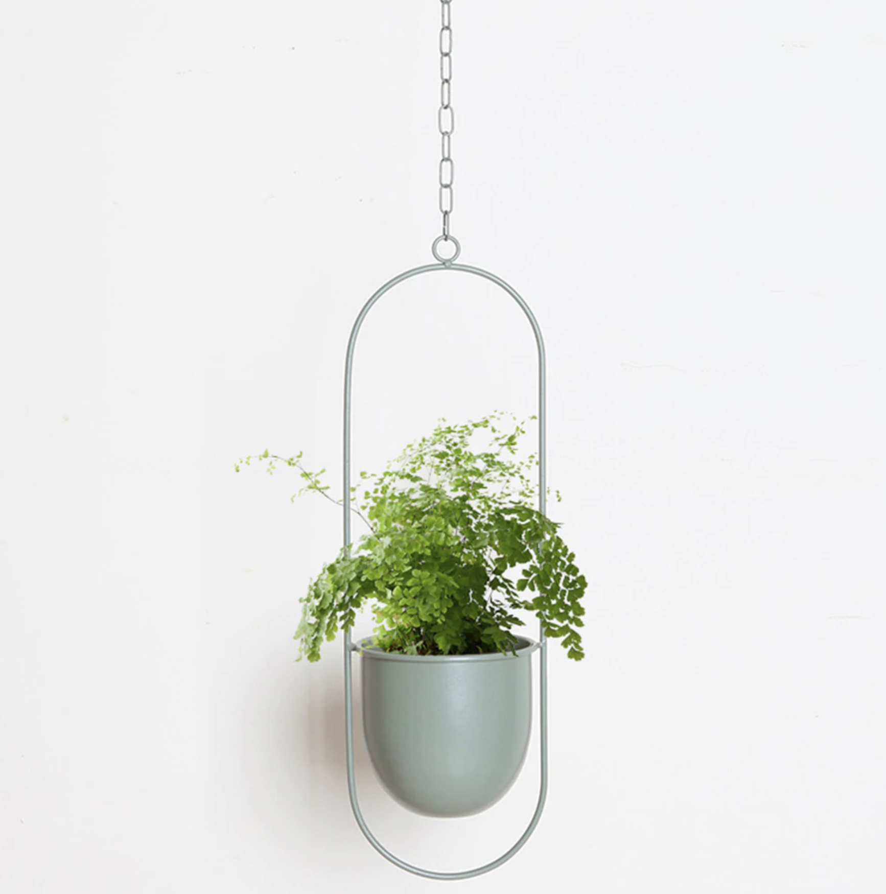 Wandplantenhouder met Minimalistisch IJzeren Frame voor Hangplanten | Sansoti