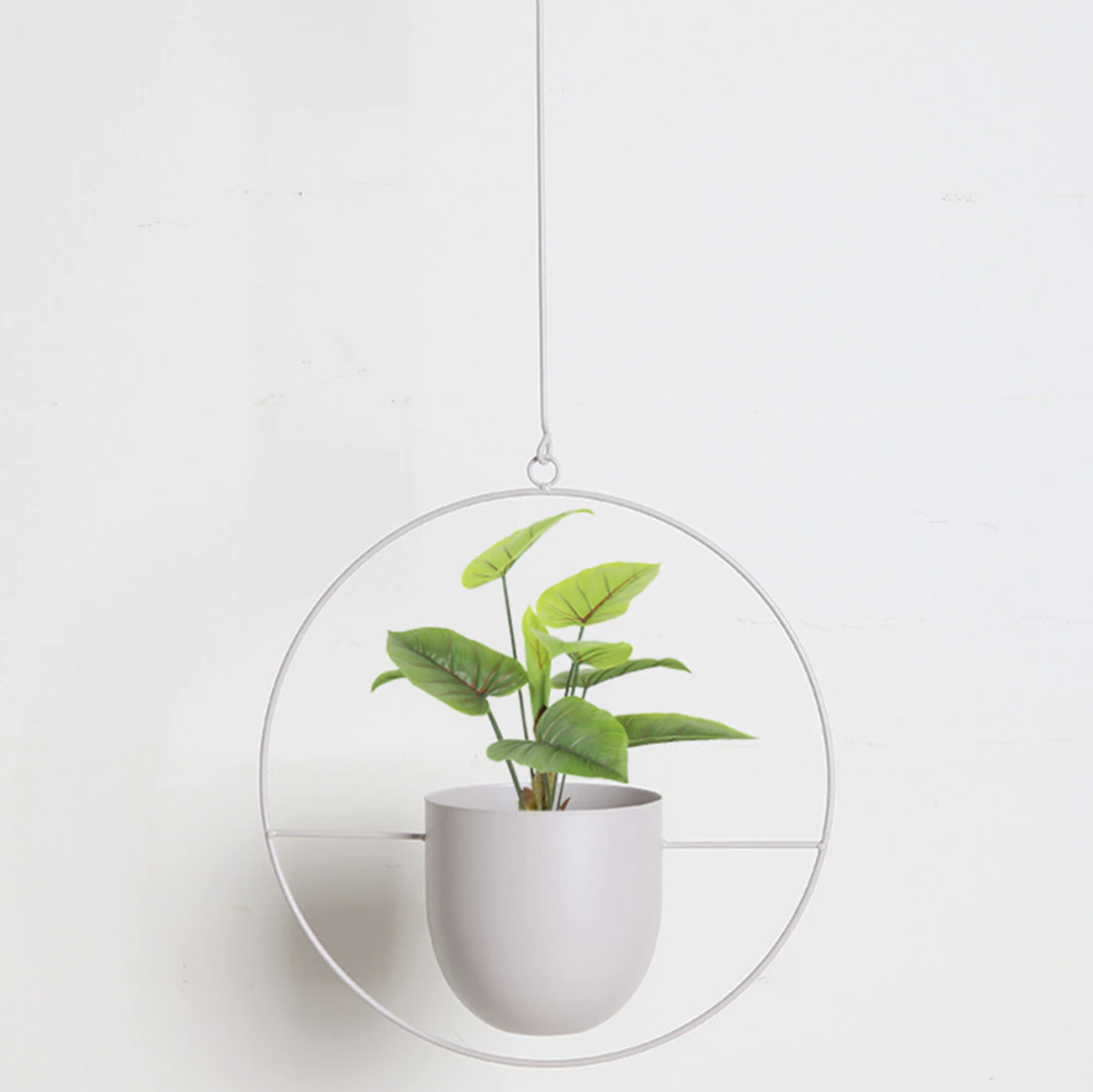 Wandplantenhouder met Minimalistisch IJzeren Frame voor Hangplanten | Sansoti