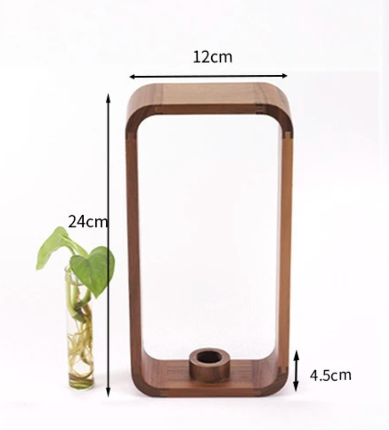 Glazen Vaas voor Stekjes met Houten Standaard – Decoratieve Propagator voor Planten | Sansoti