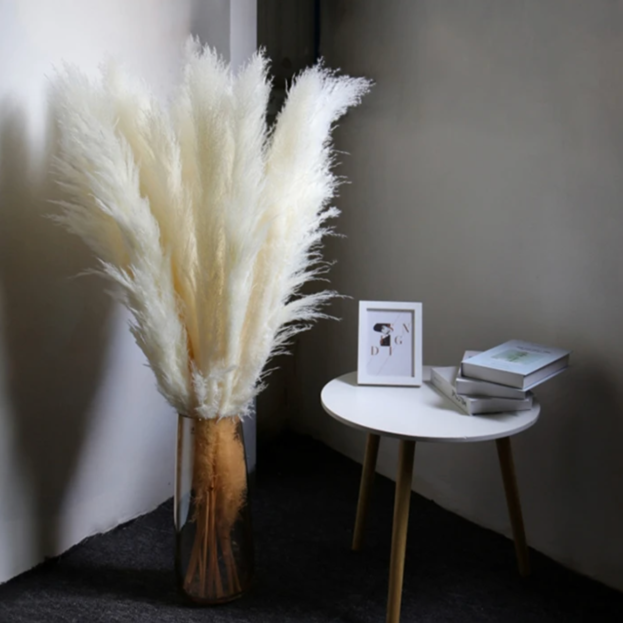Gedroogde Pampas Pluimen 10 Stuks Natuurlijk Gras Decoratieve Droogbloemen voor Woonkamer Slaapkamer | Sansoti