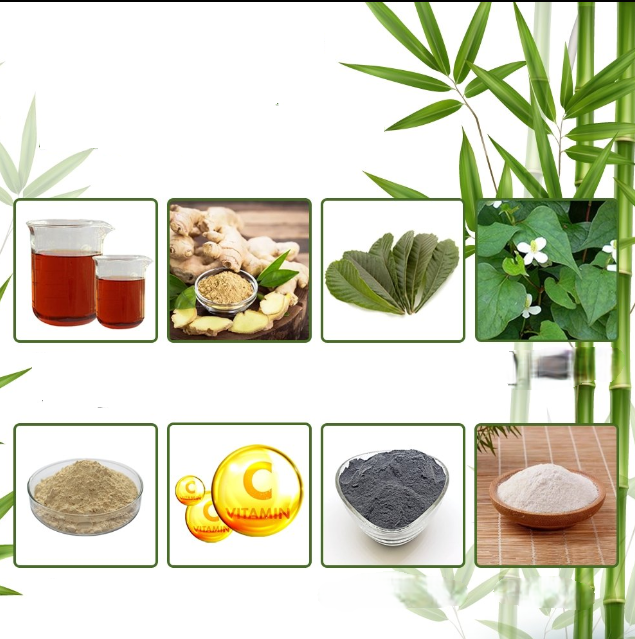 Voetpleisters voor Nachtelijk Herstel 10-50 Paar Bamboe Extract Ontspanning Wellness Slaapverbetering | Sansoti