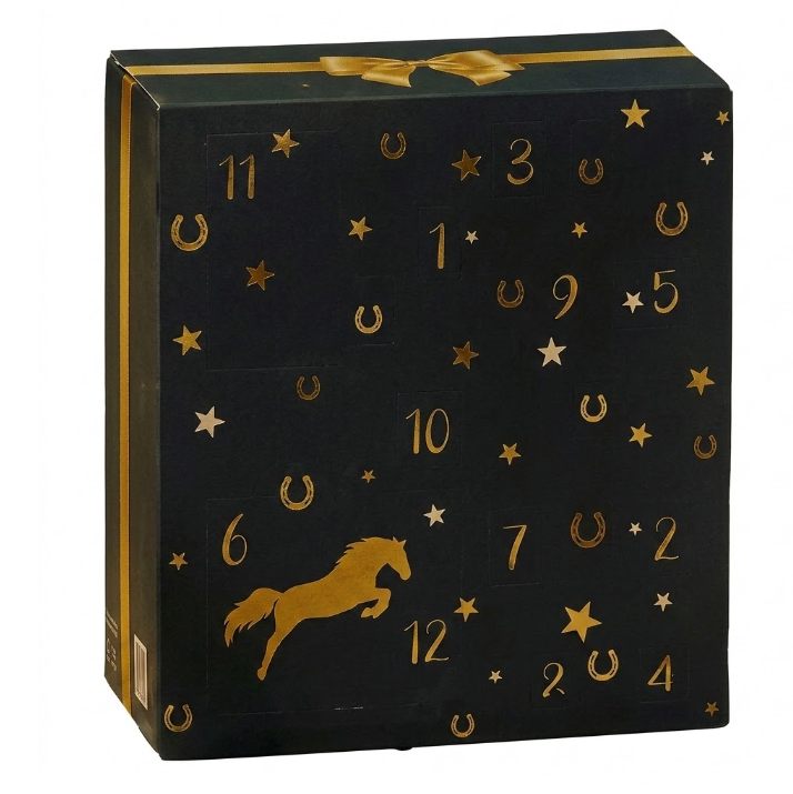 Adventskalender Pferdesport 24 Pflegeprodukte Zubehör Stall Reiten Pferdeliebhaber Weihnachten | Sansoti