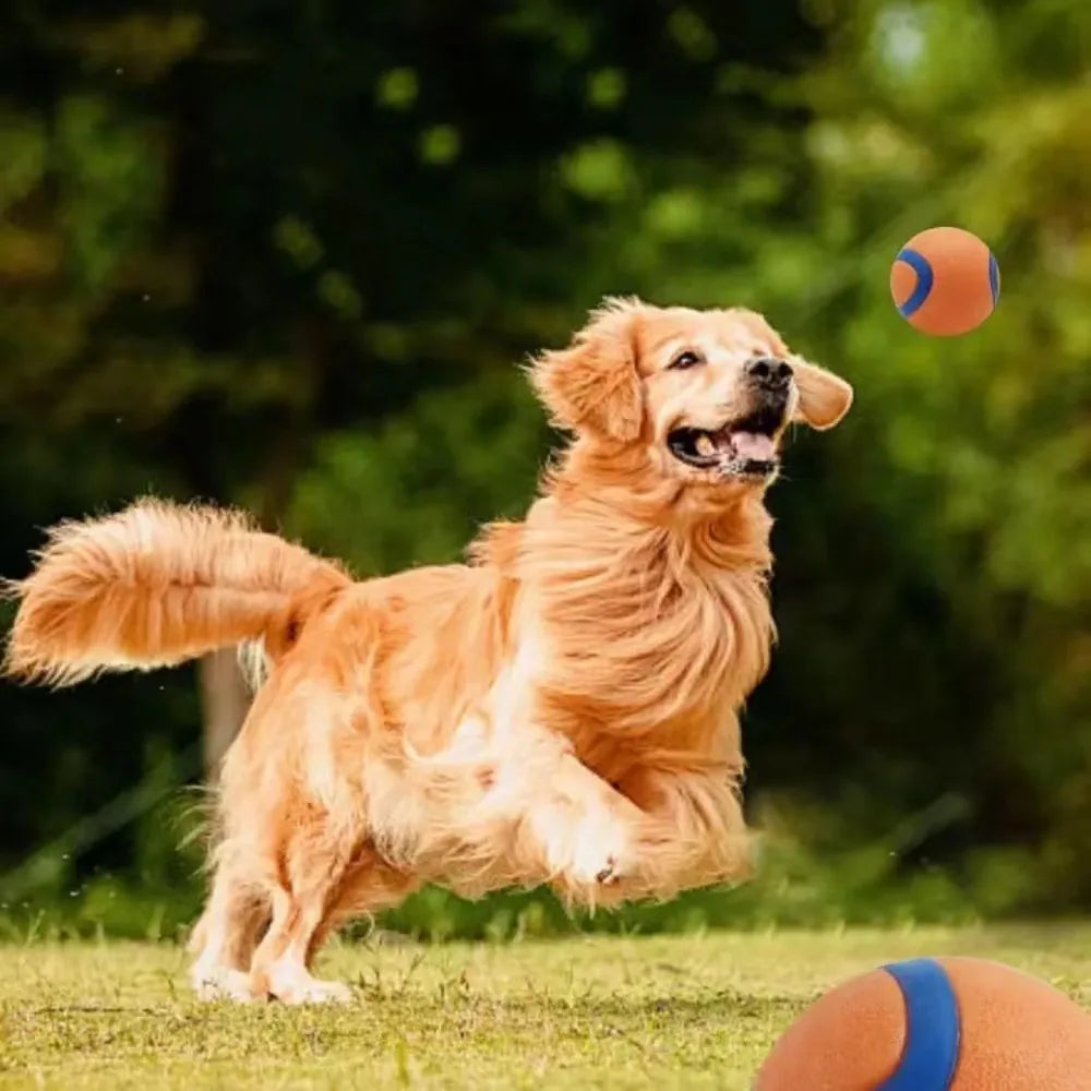 Balle rebondissante pour chiens Jouet en caoutchouc Entraînement au jeu actif Petit Grand Chiot Résistante à la mastication Durable | Sansoti