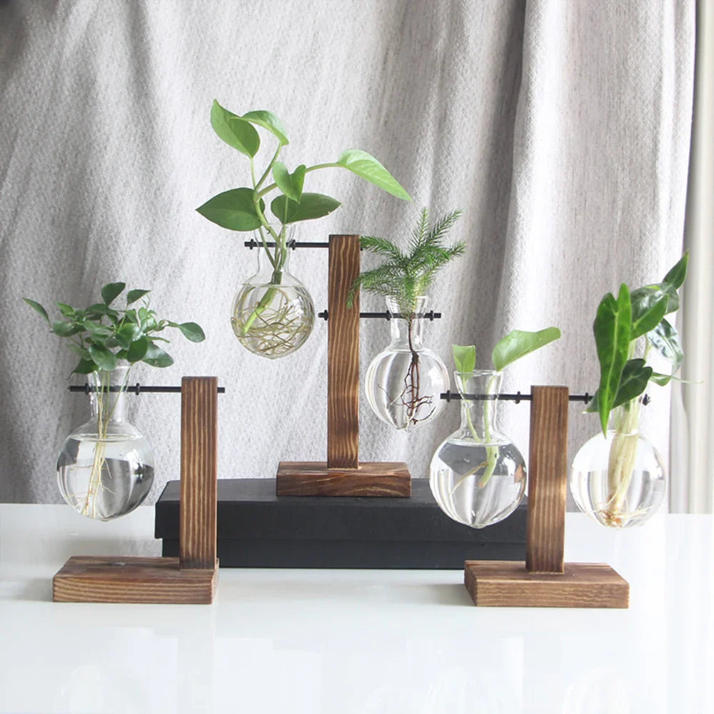 Glazen Vaas op Houten Standaard Decoratief Retro Hydroponics Plantenpot Transparant Glas Sfeeraccent voor Bloemen en Stekjes | Sansoti