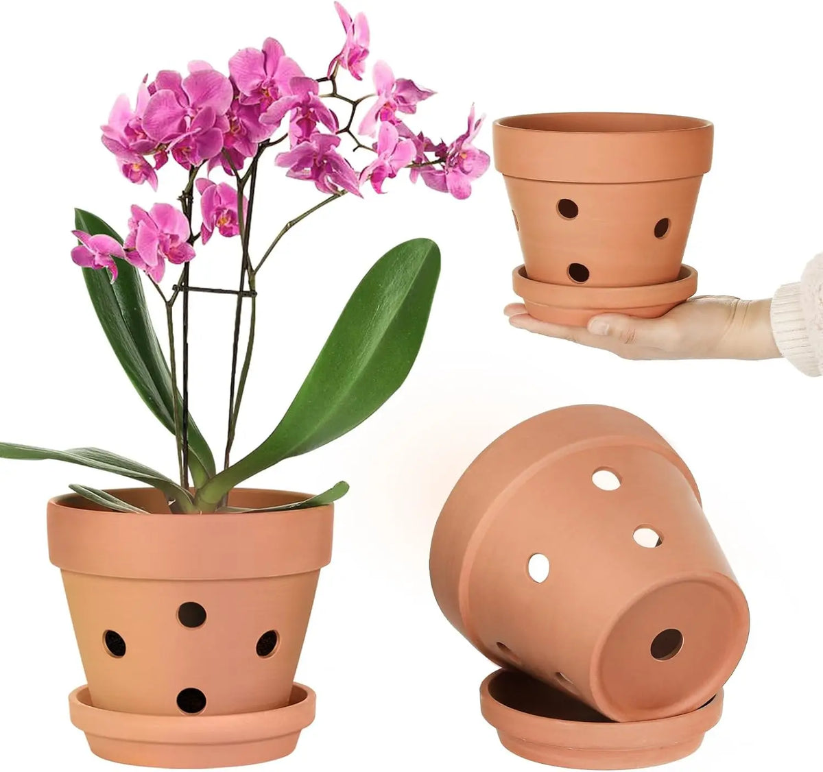 Lot de 6 pots à orchidées en terre cuite de 10 cm avec trous de drainage et soucoupes, pots de culture en argile pour fleurs d’intérieur | Sansoti