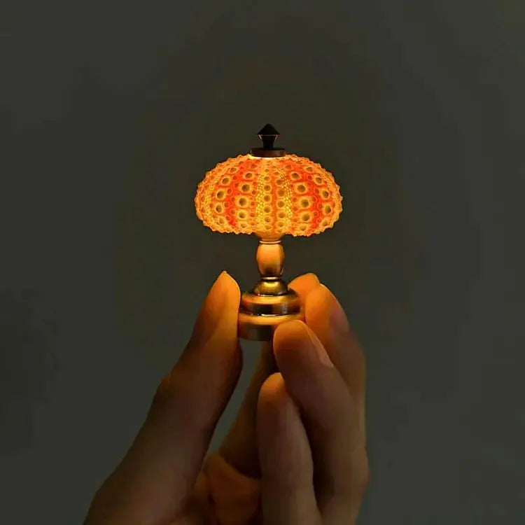 Zee-Egel Nachtlamp met Natuurlijke Schelpvorm en Warm Licht | Sansoti