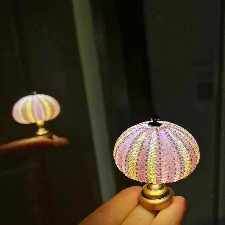 Zee-Egel Nachtlamp met Natuurlijke Schelpvorm en Warm Licht | Sansoti