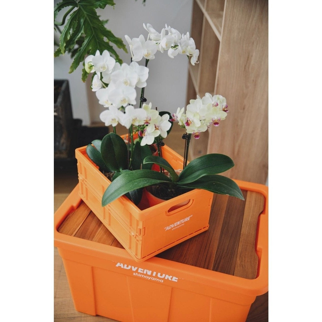 Caisse de Rangement Pliable PP Empilable A4 34x24cm 8kg Bureau Documents Livres | Restfield