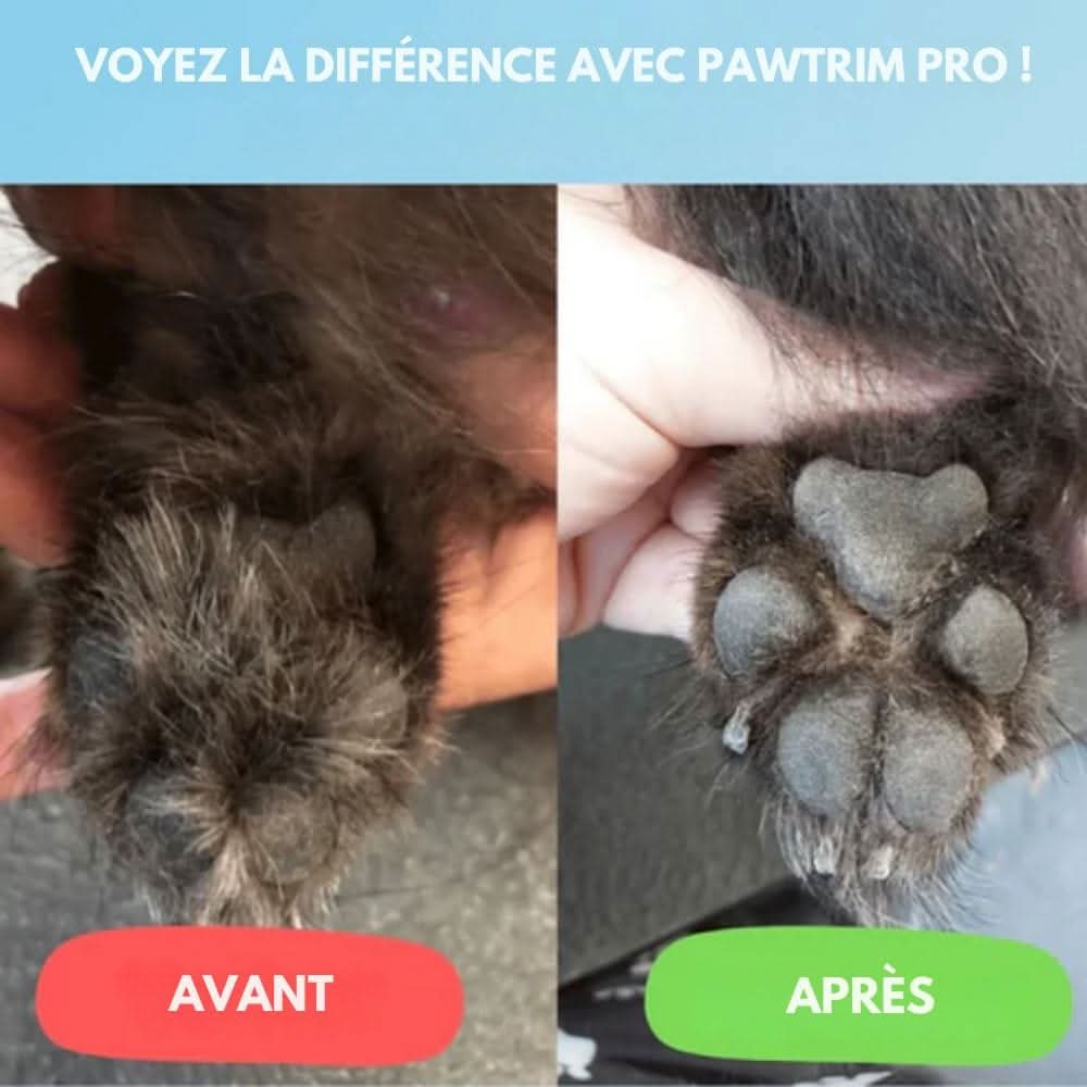 Stille Dierenscheerder Hond Kat Trimmer Gevoelige Zones LED Oplaadbaar USB Keramisch Mes Huisdier Verzorging | Sansoti