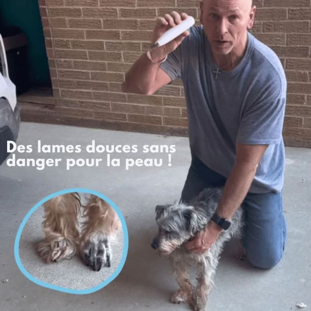 Stille Dierenscheerder Hond Kat Trimmer Gevoelige Zones LED Oplaadbaar USB Keramisch Mes Huisdier Verzorging | Sansoti