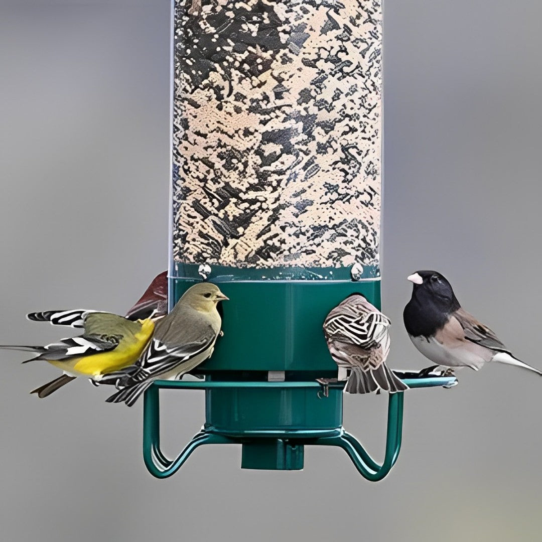 Eekhoornbestendige Vogelvoederhuisje met Geactiveerd Perch-Systeem voor Vogels | Duurzaam Metaal Vogelstation met Grote Zaadcapaciteit | Sansoti