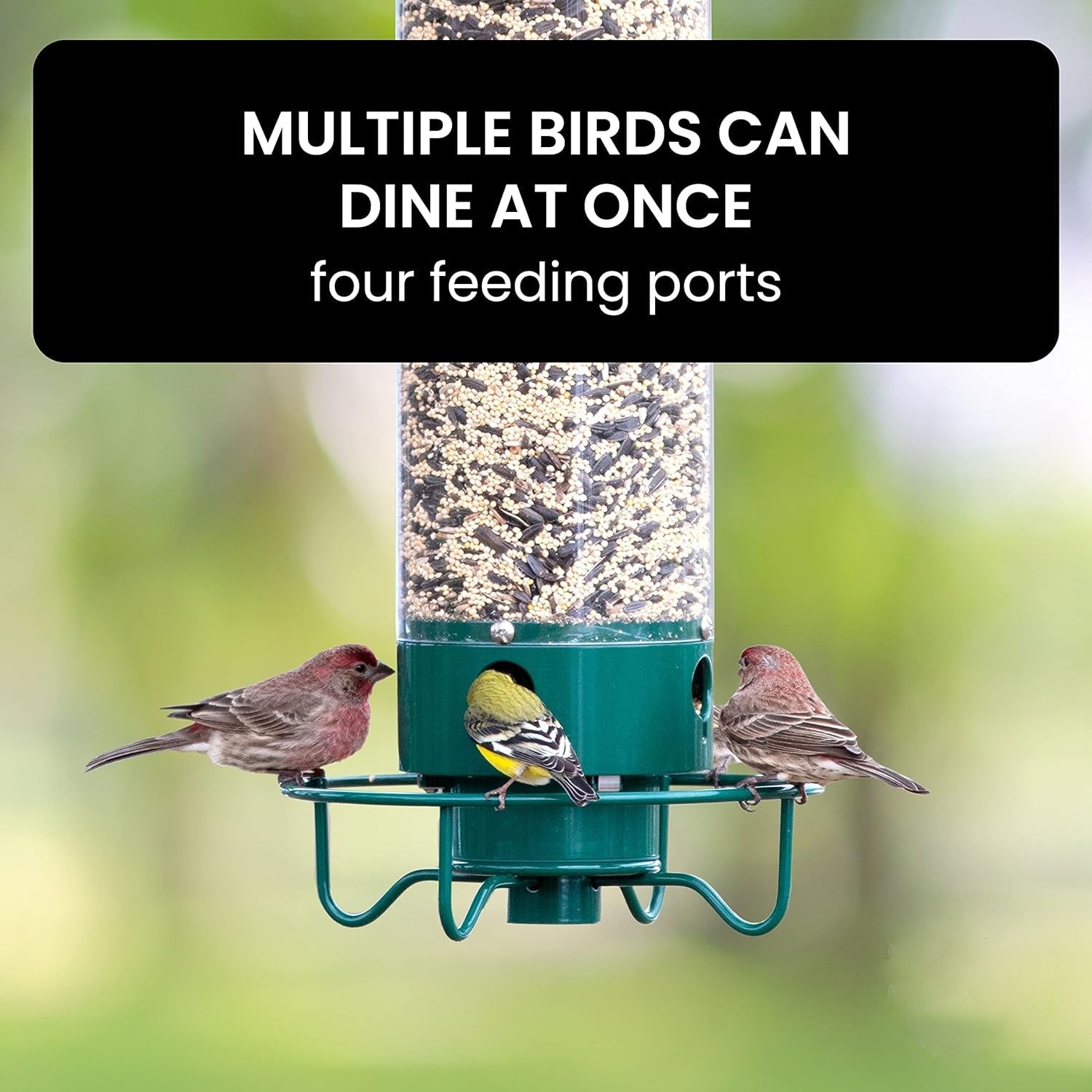 Eekhoornbestendige Vogelvoederhuisje met Geactiveerd Perch-Systeem voor Vogels | Duurzaam Metaal Vogelstation met Grote Zaadcapaciteit | Sansoti
