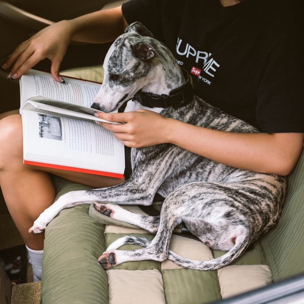 Hondenautobed Opvouwbare Reismat Lounge Stijl met Verhoogde Rand voor Grote Honden Chessboard Lounge | Sansoti