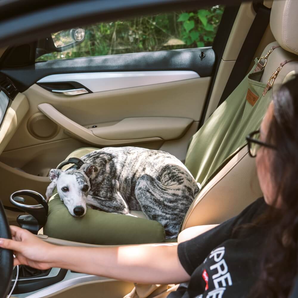 Hondenautobed Opvouwbare Reismat Lounge Stijl met Verhoogde Rand voor Grote Honden Chessboard Lounge | Sansoti