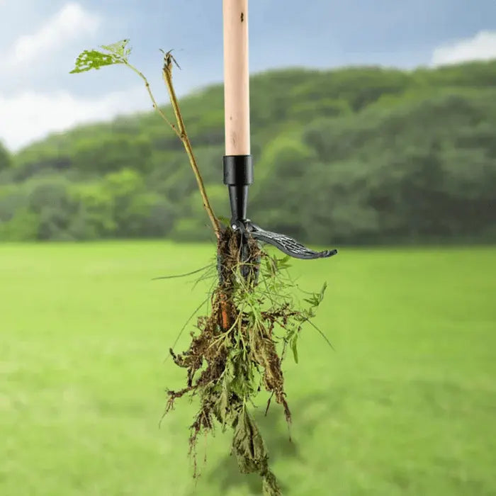 Onkruidverwijderaar met Voetpedaal en 4 Grijpers – Staand Wieden Zonder Bukken – Roestvrij Staal voor Tuin en Borders | Sansoti