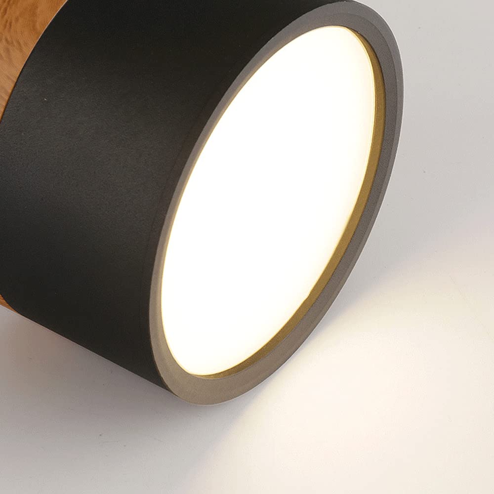 Cylinder kleine Deckenleuchte LED Holz modern Decke Flur Wohnzimmer kompakt Design | Restfield