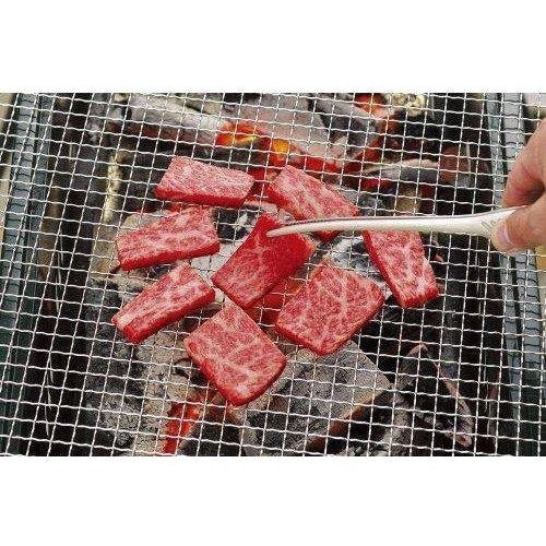 Pince à Viande Acier Inoxydable Yakiniku Grillade Japonaise Hygiénique Barbecue Fine | Restfield