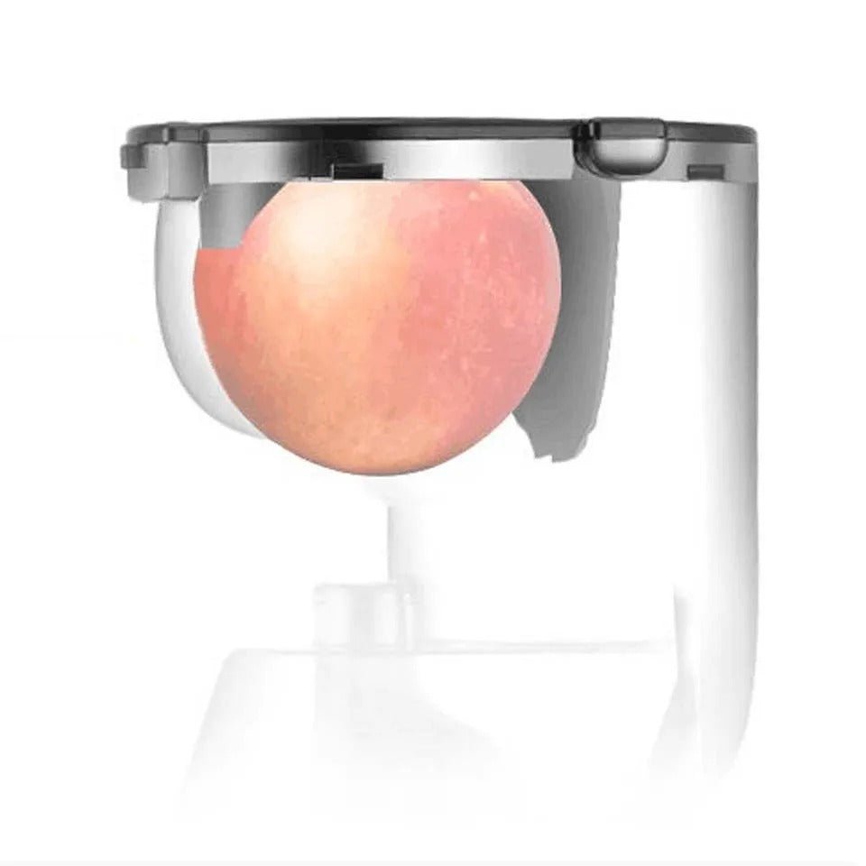 Elektrische Sapcentrifuge 90mm voor Groenten en Fruit met Pulpscheiding Automatische Persing Slow Juicer | Sansoti