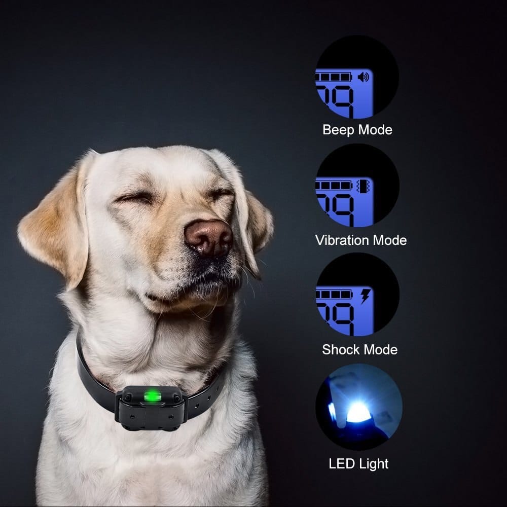 Dog Training Collar with Remote Control 800M Range Rechargeable Waterproof LCD Display Dog Training | Sansoti