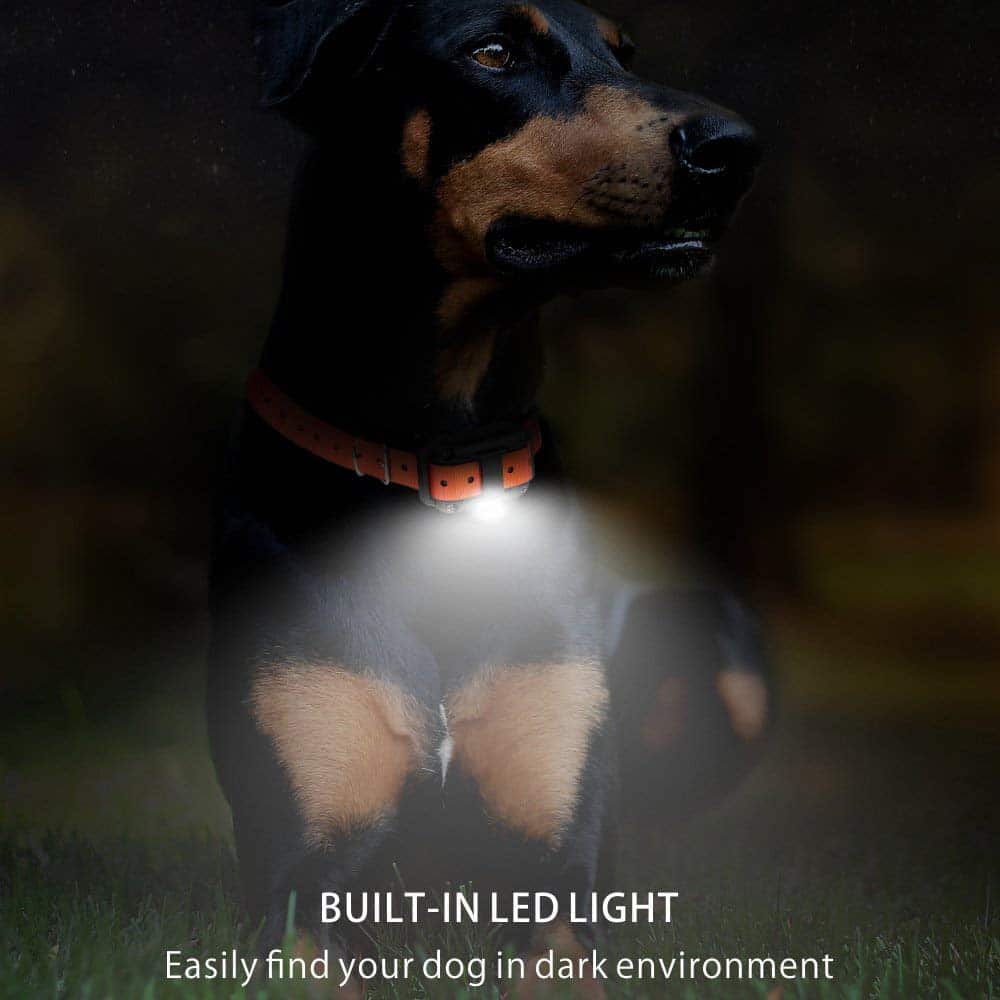 Dog Training Collar with Remote Control 800M Range Rechargeable Waterproof LCD Display Dog Training | Sansoti