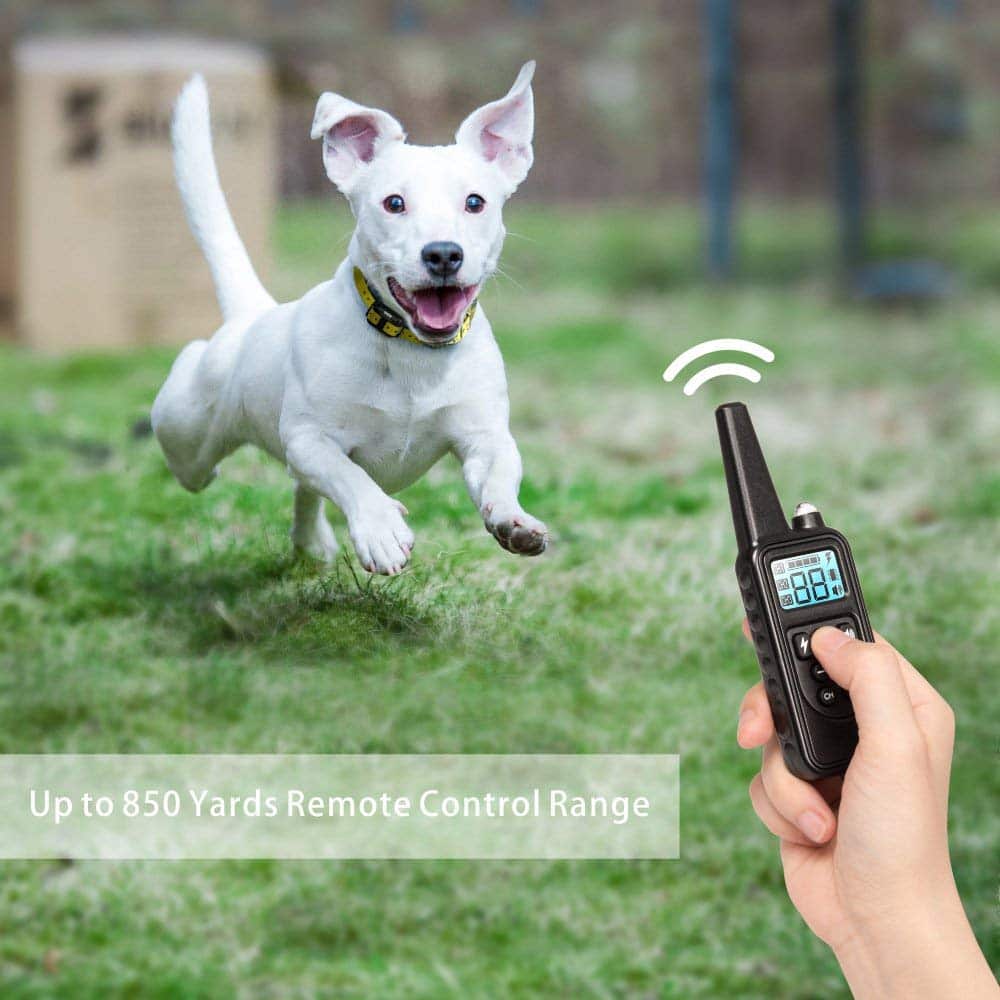 Dog Training Collar with Remote Control 800M Range Rechargeable Waterproof LCD Display Dog Training | Sansoti