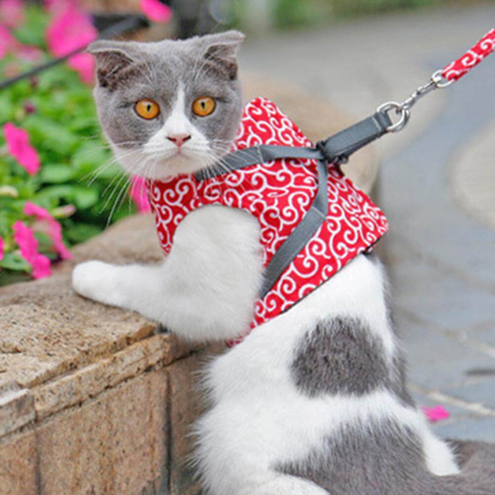 Katzengeschirr-Set mit Leine Verstellbares Netzgeschirr zum Spazierengehen im Freien XS S Polyester Komfortabel Sicher | Sansoti