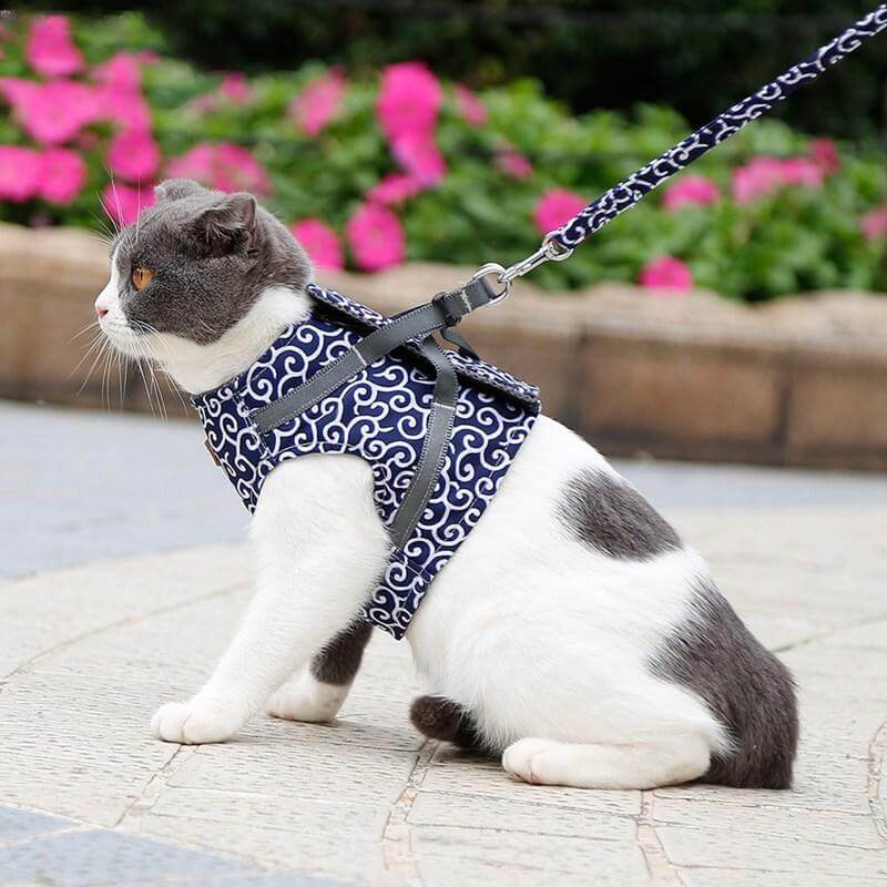 Katzengeschirr-Set mit Leine Verstellbares Netzgeschirr zum Spazierengehen im Freien XS S Polyester Komfortabel Sicher | Sansoti