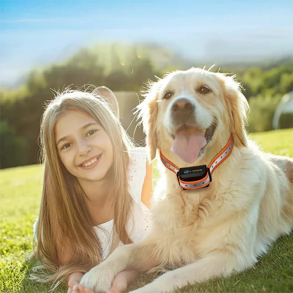 Collier d'Entraînement pour Chien Télécommande 1000m IP67 Étanche Vibration Choc Rechargeable