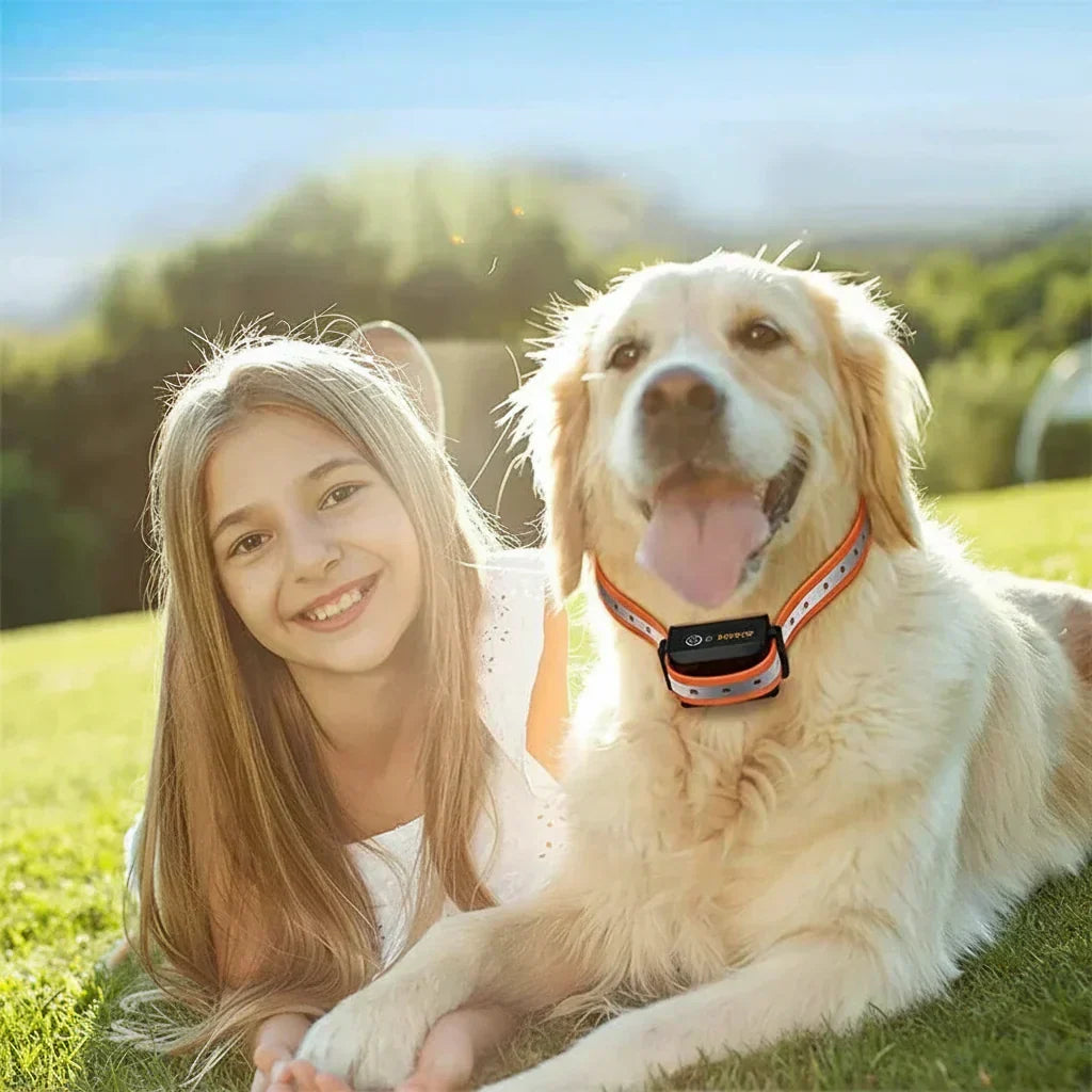 Opvoedingshalsband Hond met Afstandsbediening 1000m Bereik IP67 Waterdicht 3 Trainingsmodi Hondentraining | Sansoti