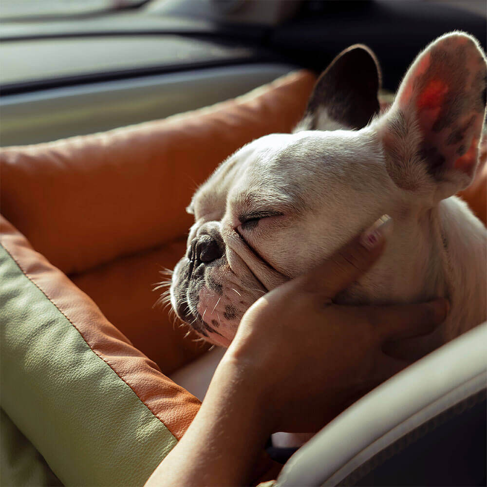 Autositz für Hunde mit Sicherheitsgurt und Plüschbezug für kleine bis mittelgroße Hunde, zum Reisen | Sansoti