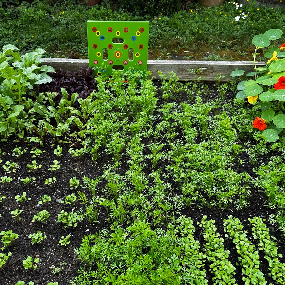 Zaaisjabloon voor Moestuin – Plantafstand Hulpmiddel voor Groenten & Kruiden – 30x30 cm Zaaisjabloon Tuin met Handleiding | Sansoti