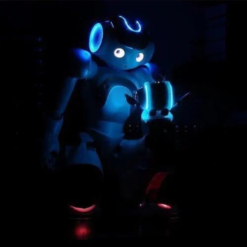 Interactive Learning Robot for Children with Gesture Control, Music, Dance Functions, Programmable, Educational | Sansoti