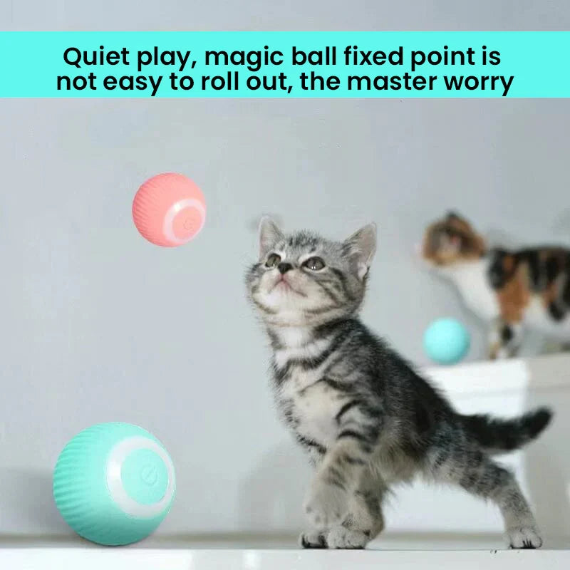 Jouet interactif pour chat avec capteur intelligent, plume, balle roulante automatique, 2 modes, silencieux et rechargeable par USB | Sansoti