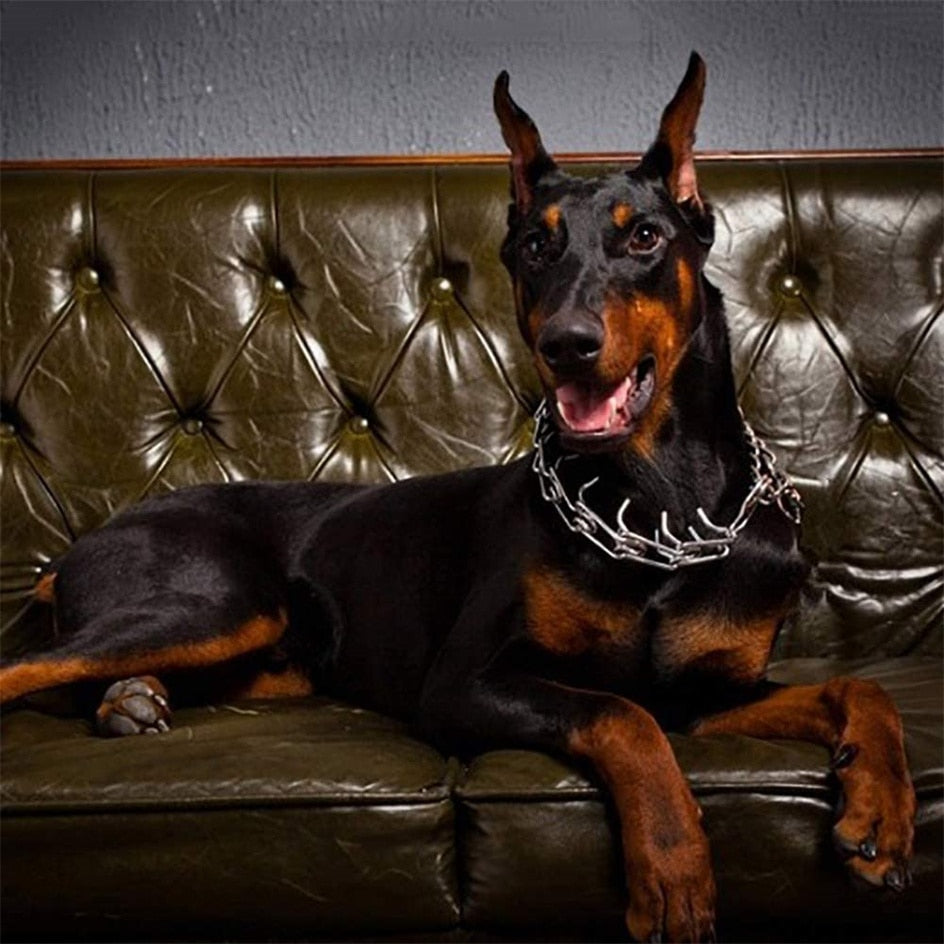 Verstelbare Trainingsband Hond met Gummi Punten Metalen Schakels Medium tot Groot Gedragstraining Opvoeding | Sansoti